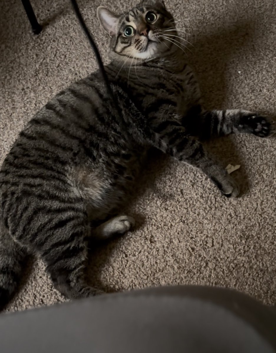 Pixel best tweet media