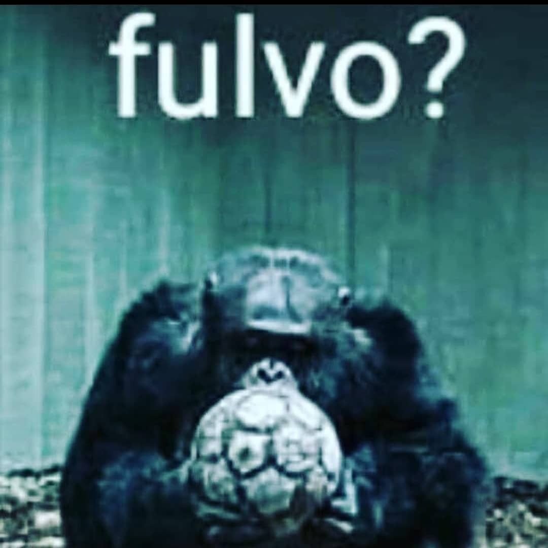 Garcia Bassino tweet media