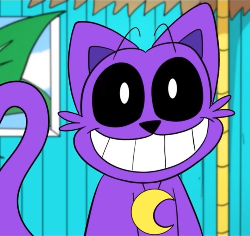 CatNap 🌙 tweet media