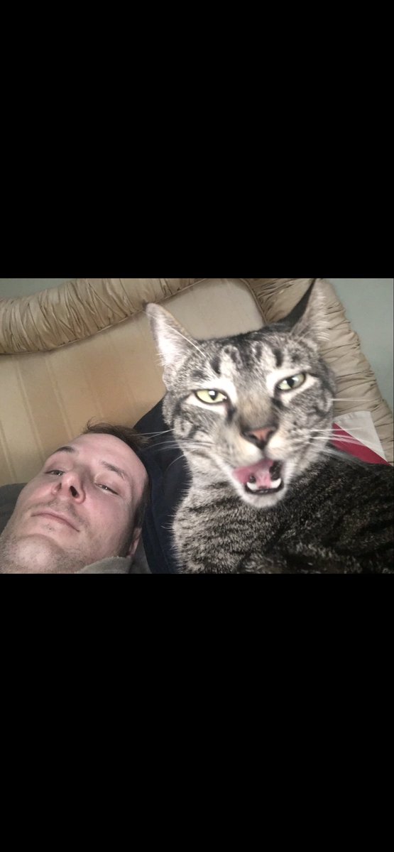 Rachael N tweet media