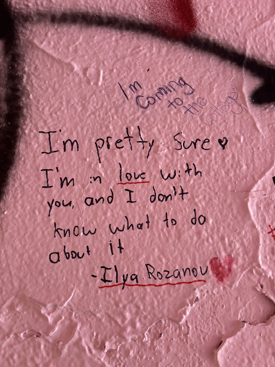 💌 𝕰𝖑𝖎𝖘𝖘𝖚𝖍 🥀 tweet media