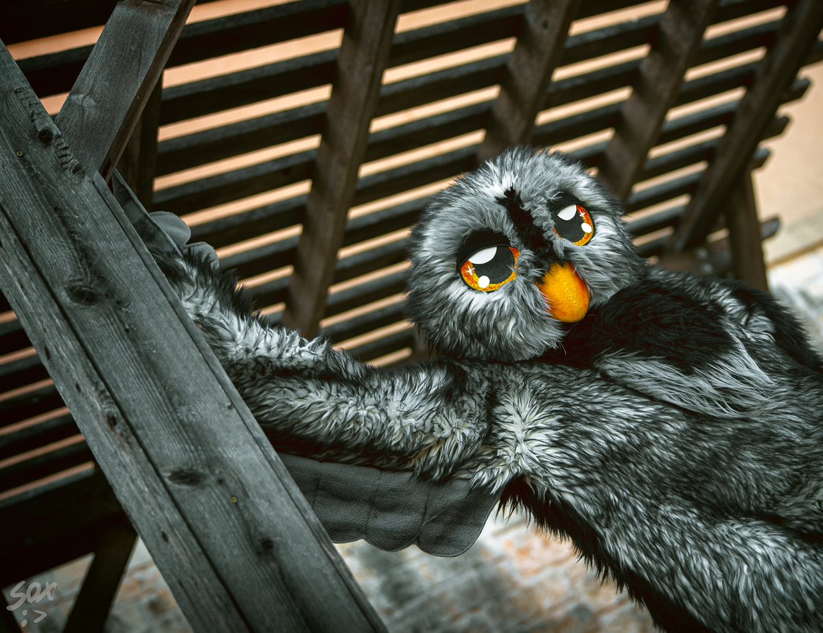 Melonlor tweet media