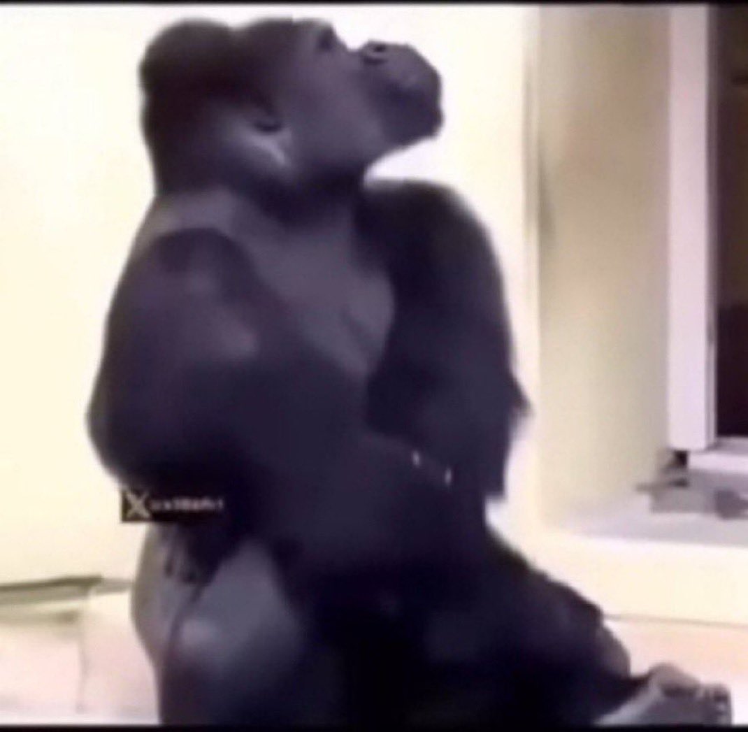 Alwaleed tweet media