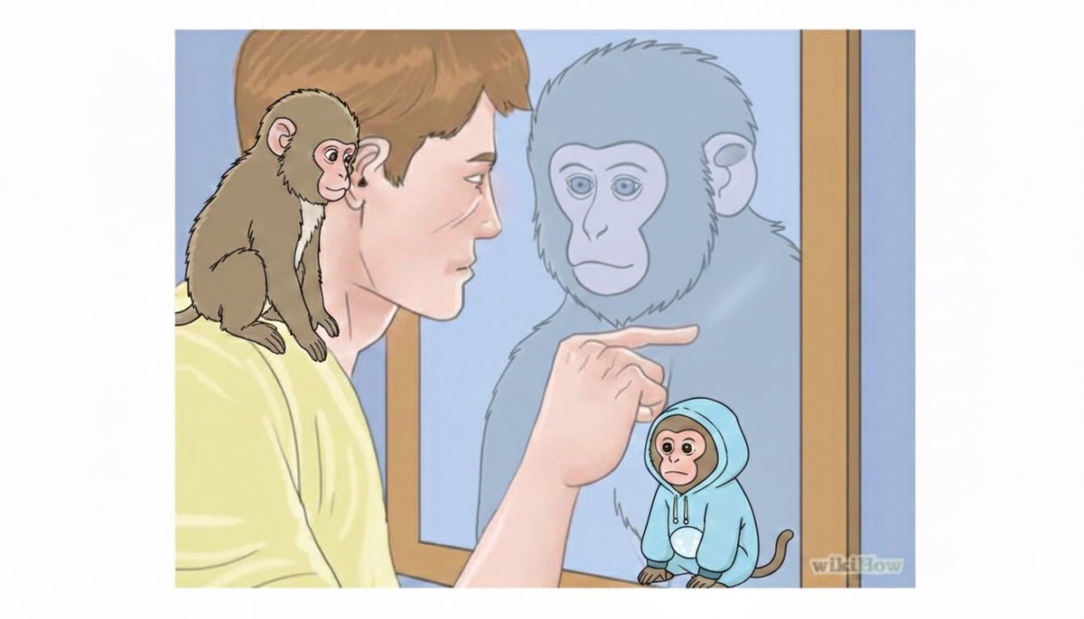 Monkeflip tweet media