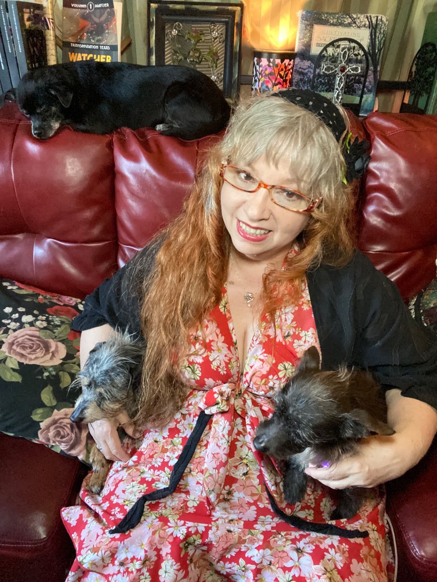 WATCHER of the DAMNED tweet media