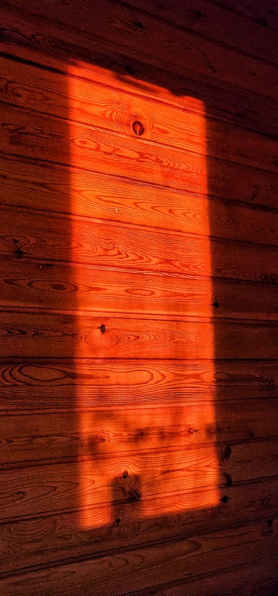 Prof. Dr. İrfan Serdar Arda tweet media