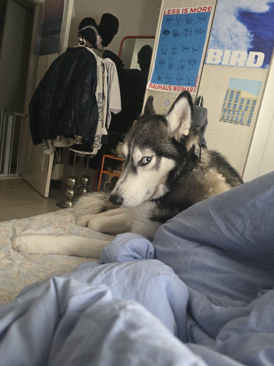 지구에 메태호가 떨어진다면 tweet media