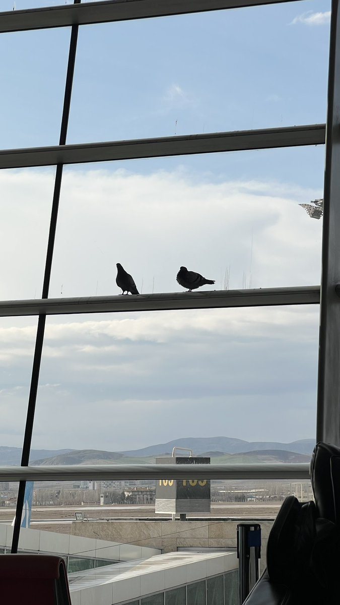 Azhar Al-Rubaie | أزهر الربيعي tweet media