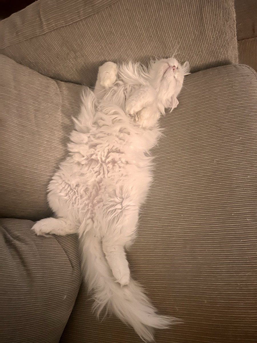 Keren Bobker tweet media