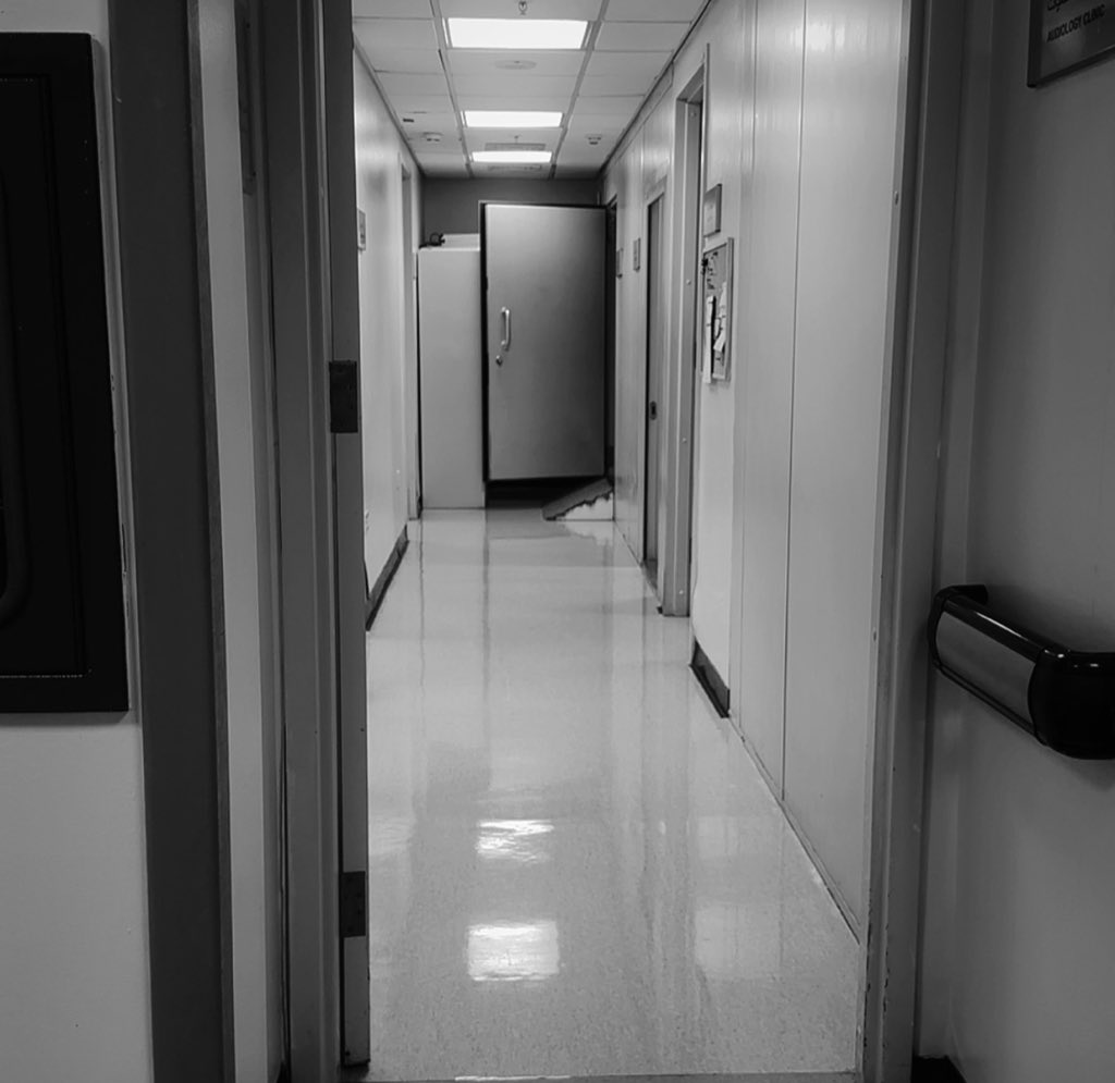 بيان ✍︎︎ tweet media