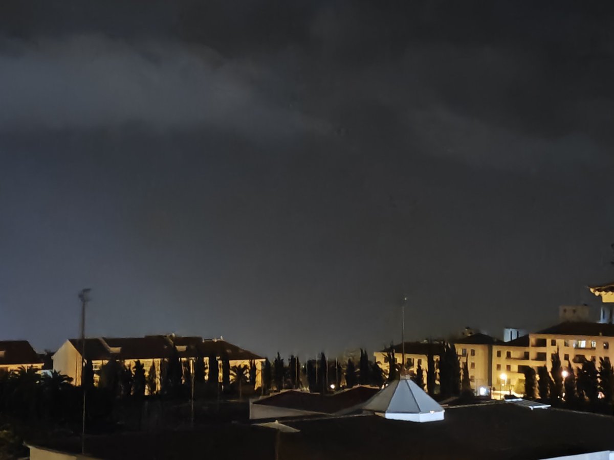 Sarah: 🐺Canis lupus🐺 tweet media