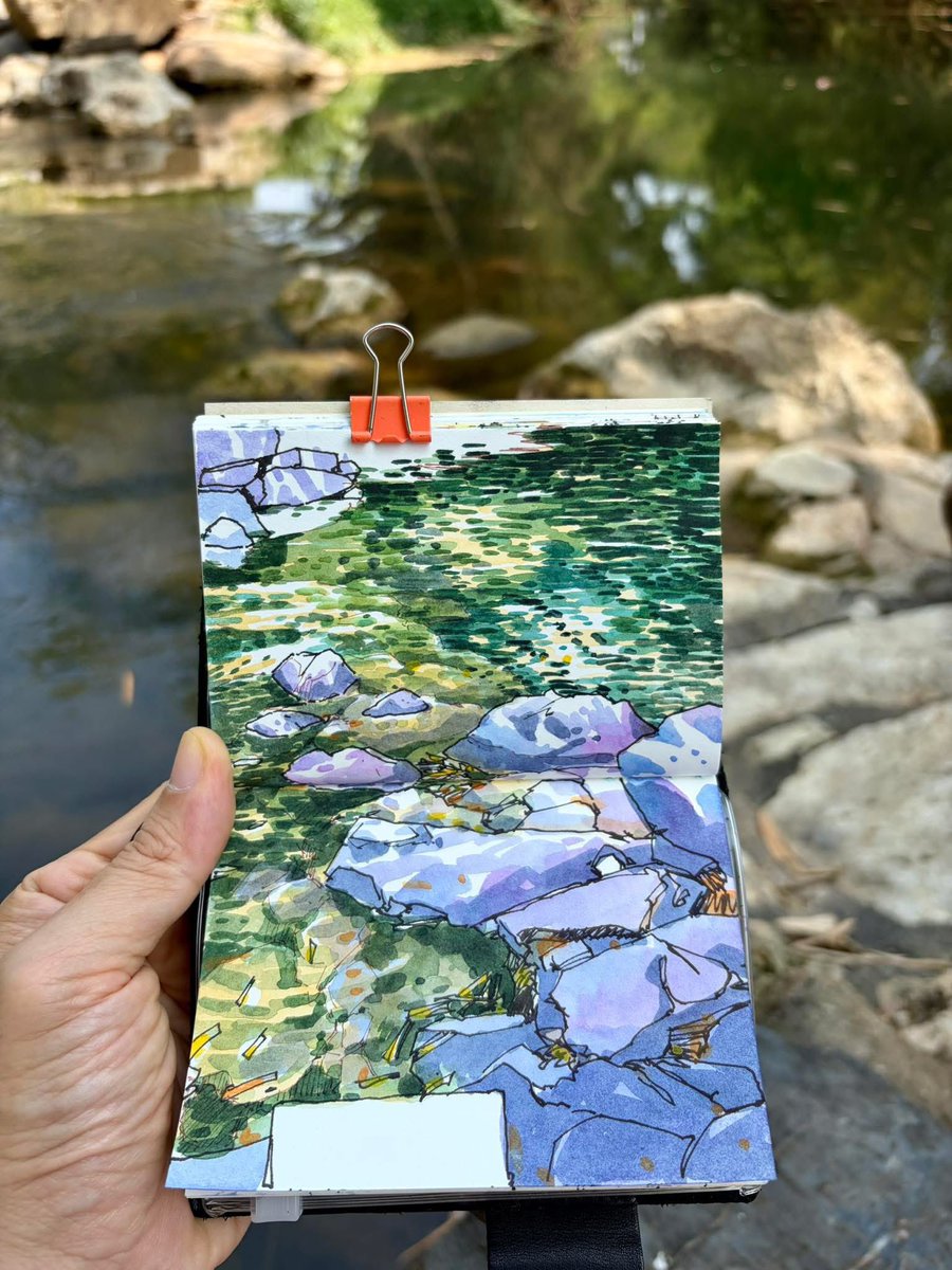 sasi.yoy tweet media