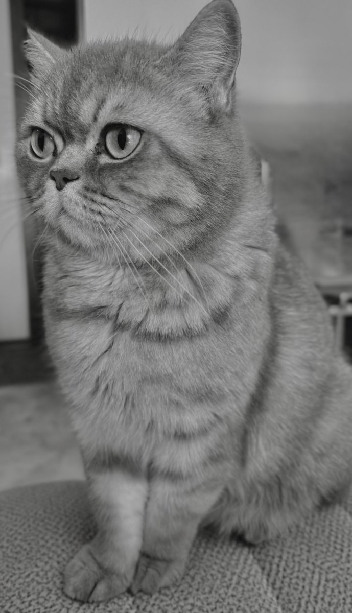 RIRI🎀 tweet media