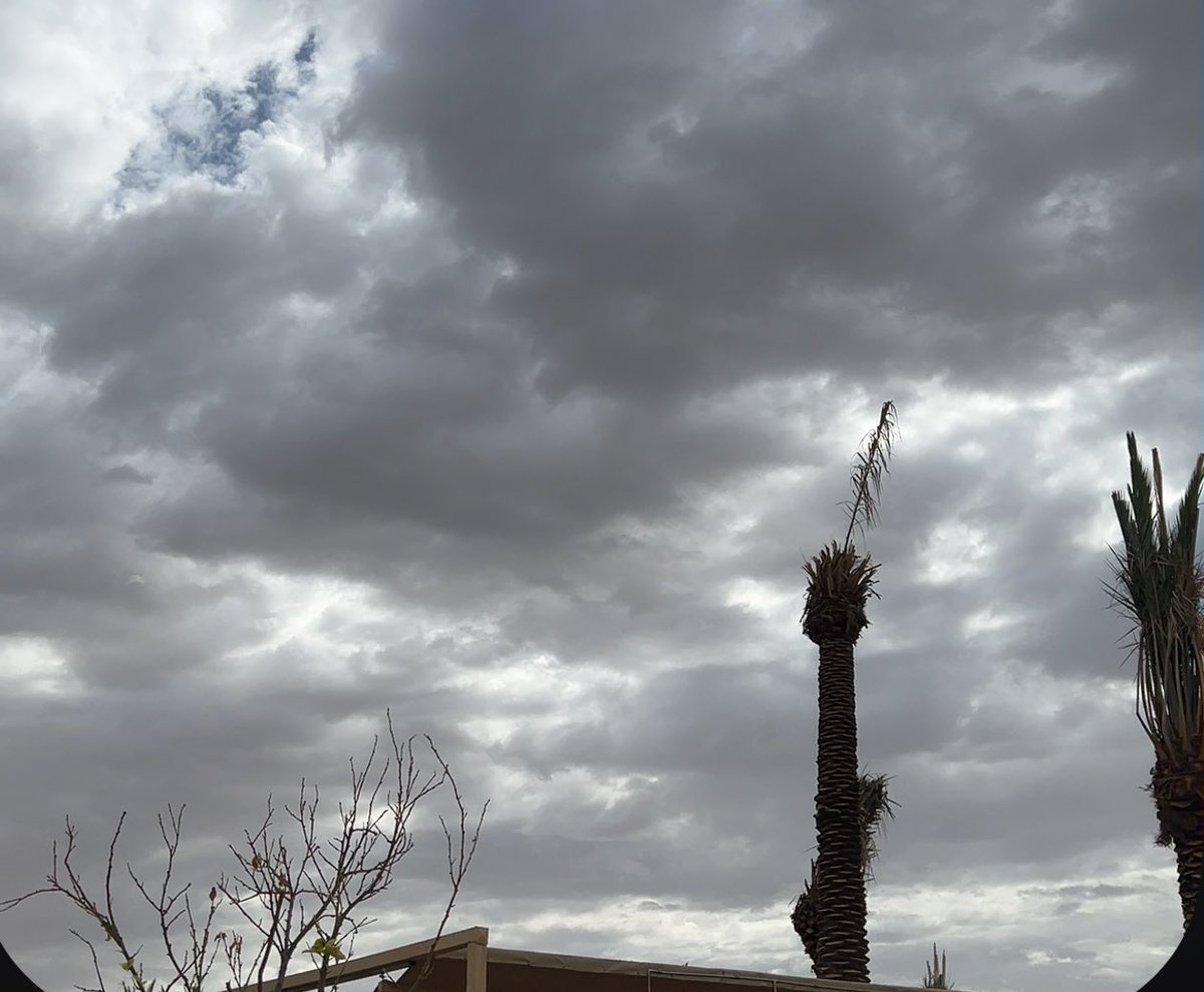 يقين. tweet media