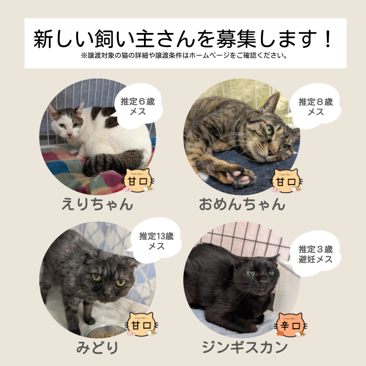 札幌市動物愛護管理センター(あいまる さっぽろ) tweet media