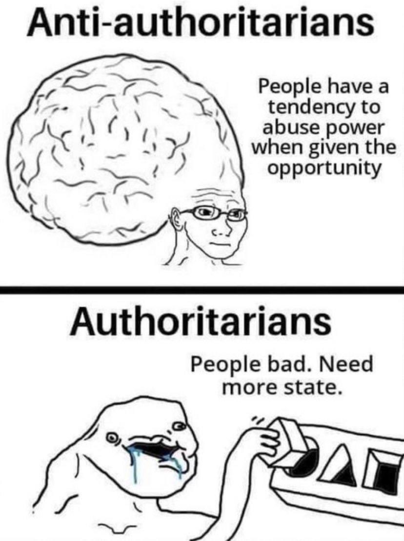 rabbitholebot tweet media