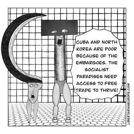 Vlad Nita tweet media