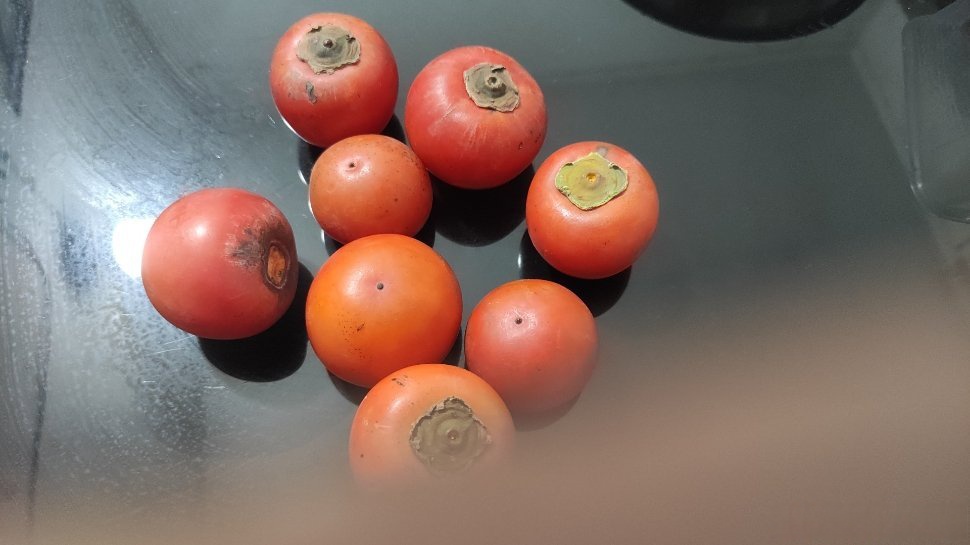 Kevin MacDougall tweet media