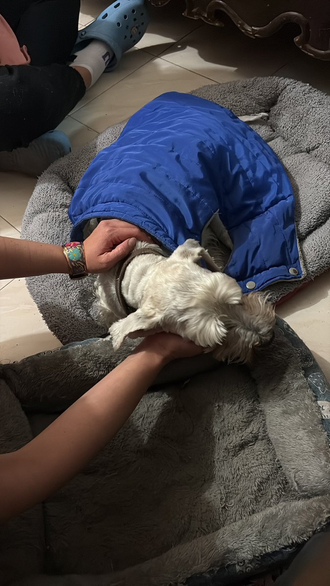 Mujer que toma café tweet media