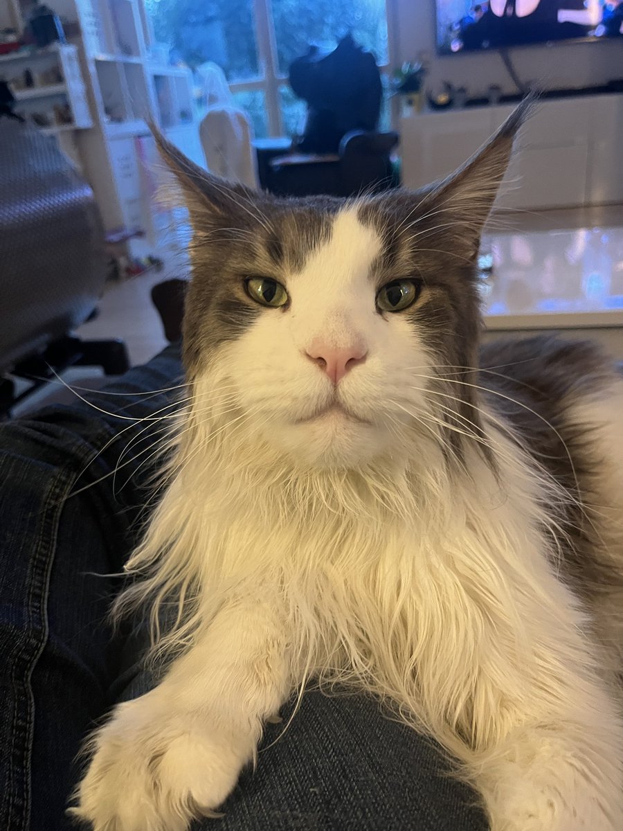 CodingJay tweet media