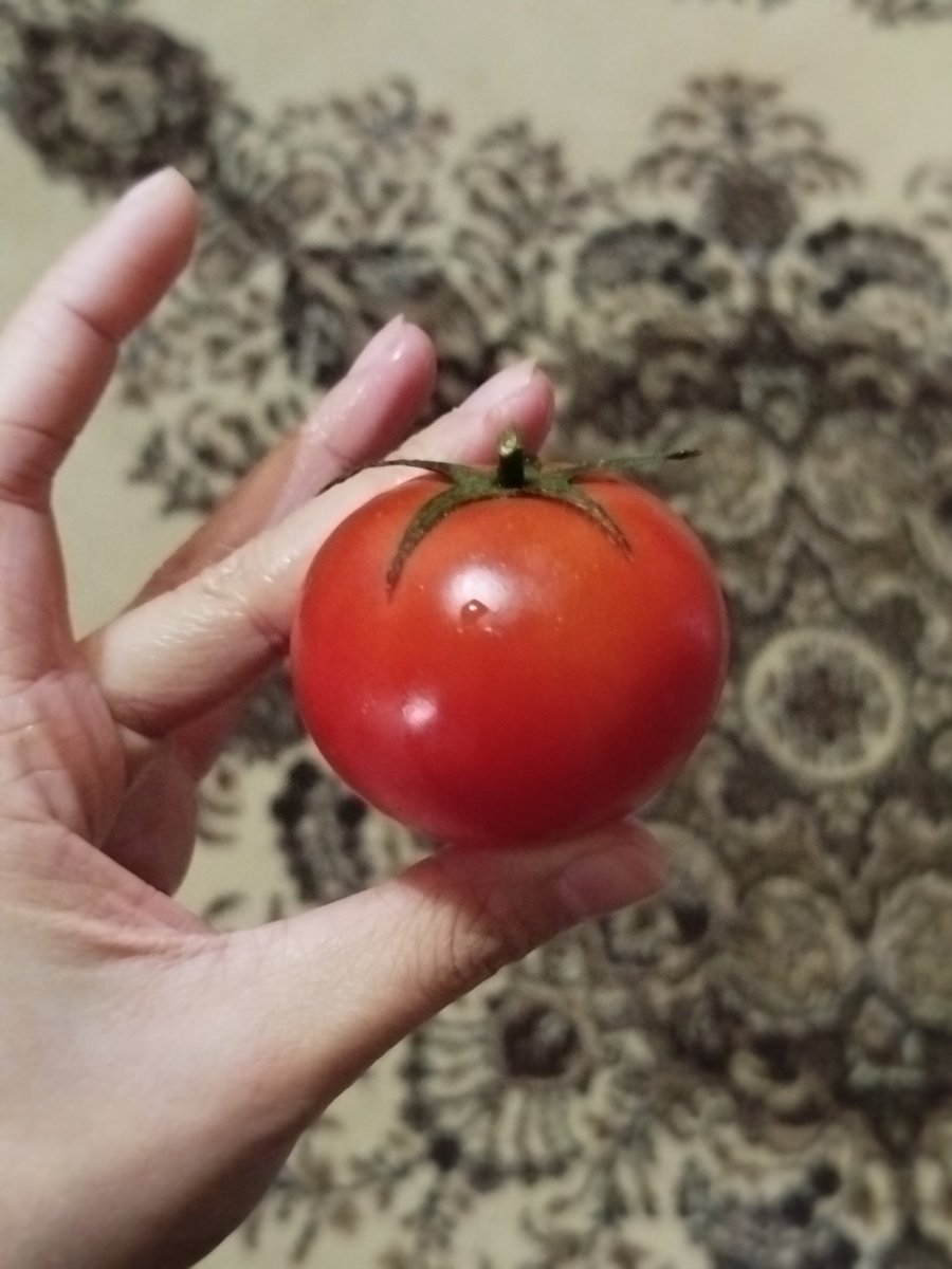 c:3l ꩜ tweet media