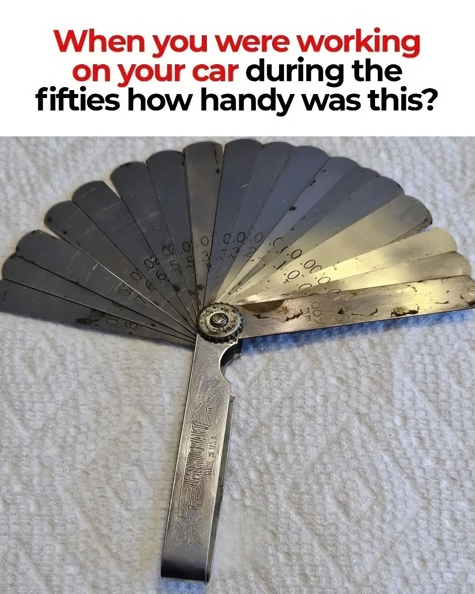 Elizabeth❣️ tweet media