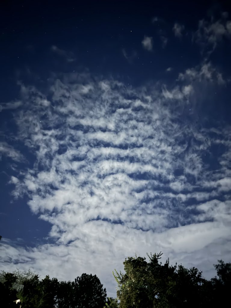 Christo du Plessis tweet media