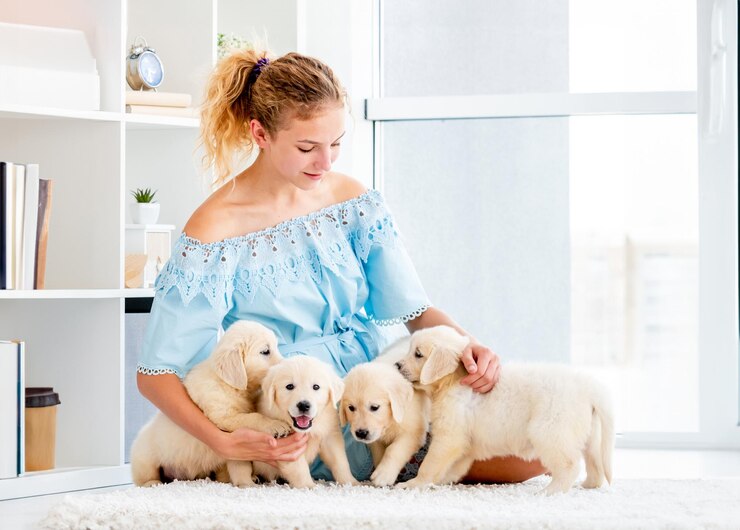 Анатолий Хлебников tweet media