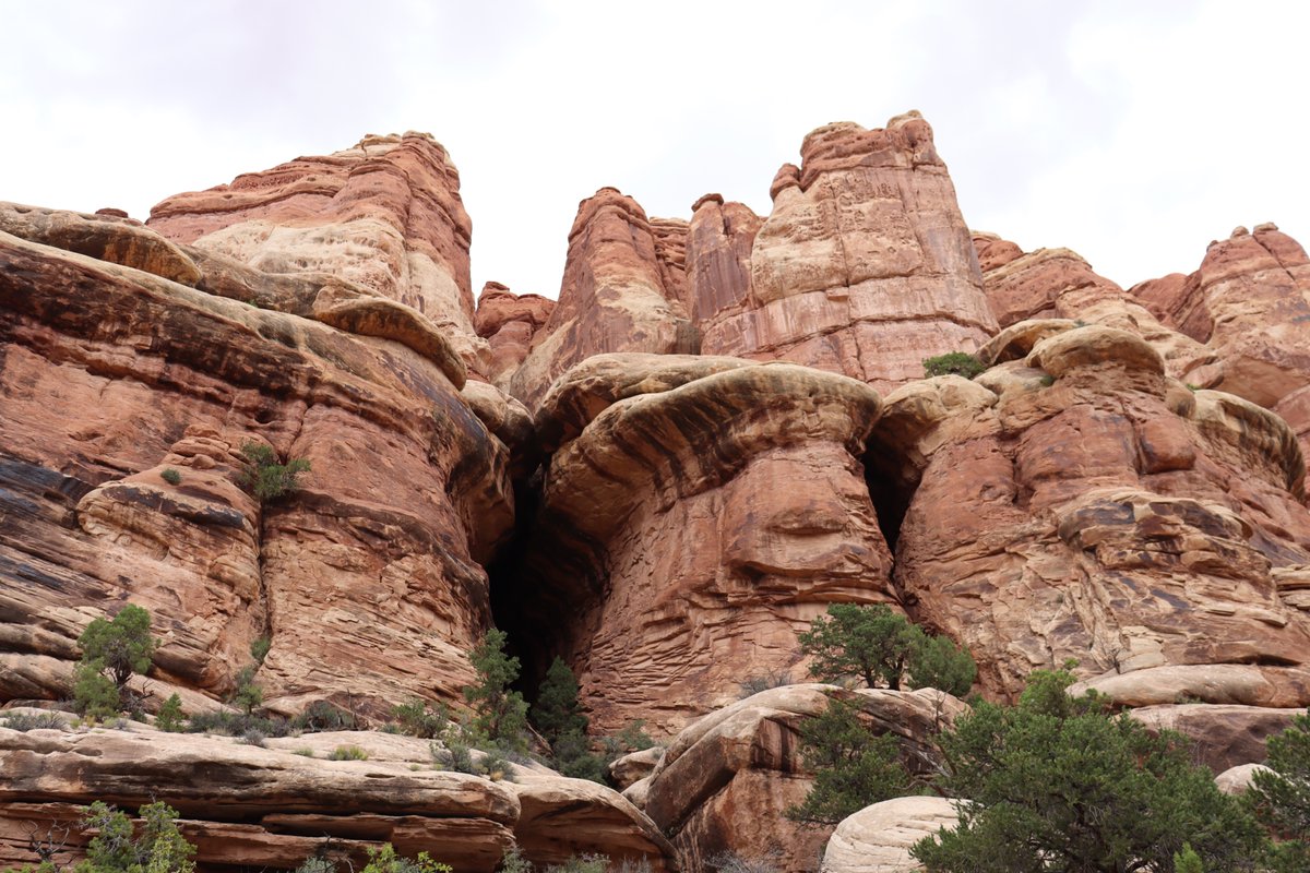 manuelacasasoli's tweet image. From my hikes...

On the way to the Druid Arch.

Utah - 2024

Have a good day!

#hiking #adventures #nature #NatureLovers