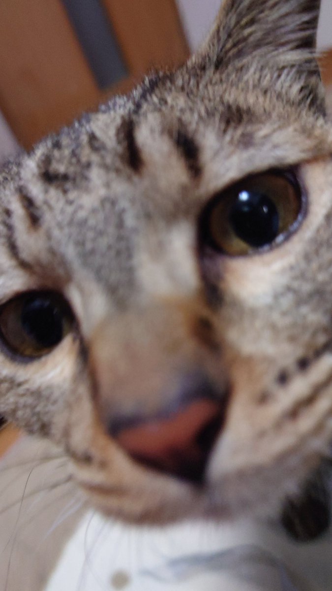 SHO🤘🍰🍣🍛🍔 tweet media