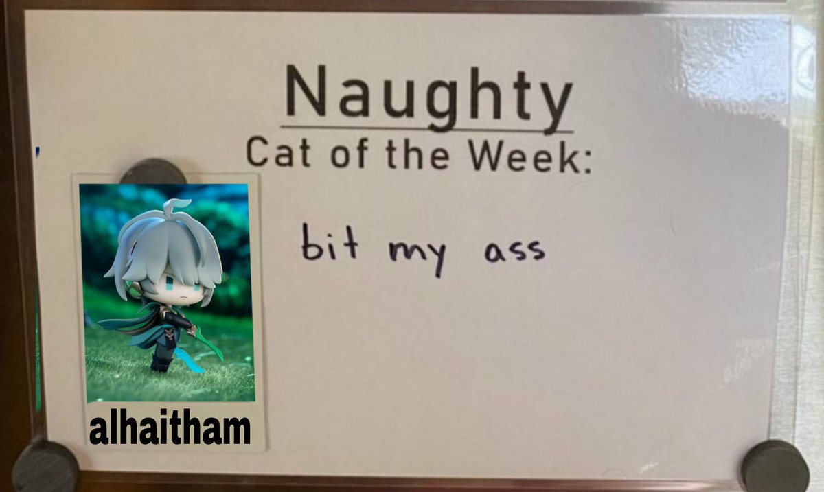 gisa 🌱 tweet media