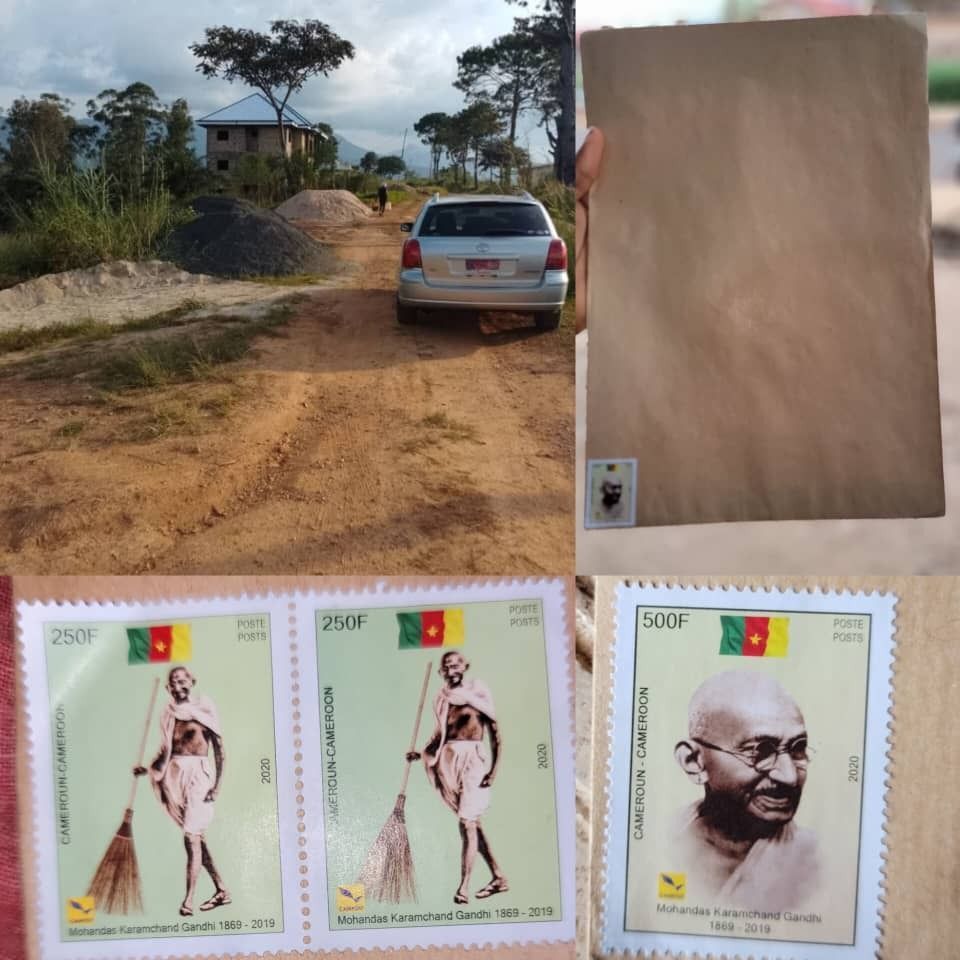 MMI News tweet media