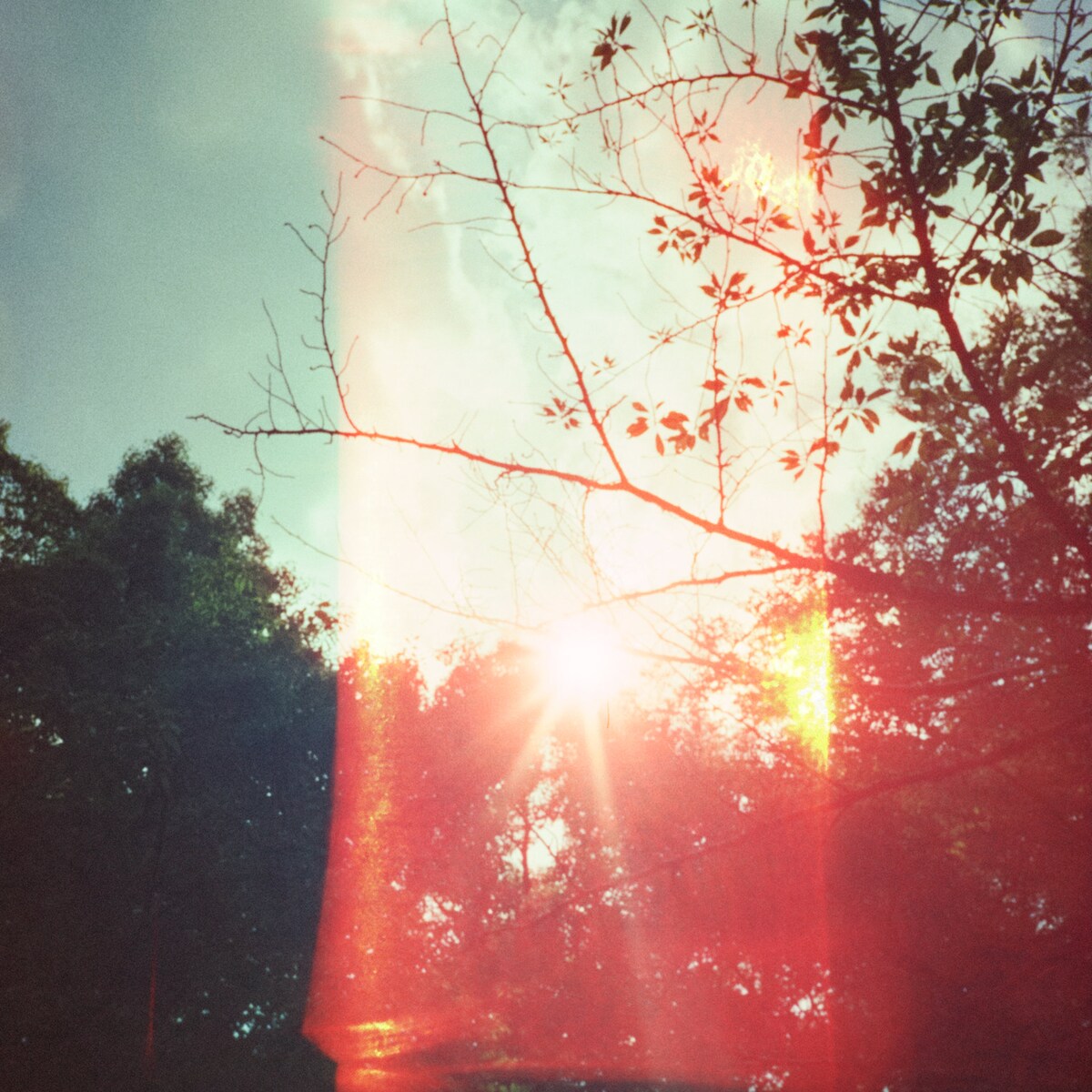 音楽ナタリー tweet media