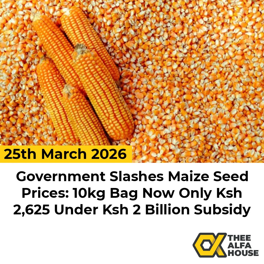 THEE ALFA HOUSE tweet media