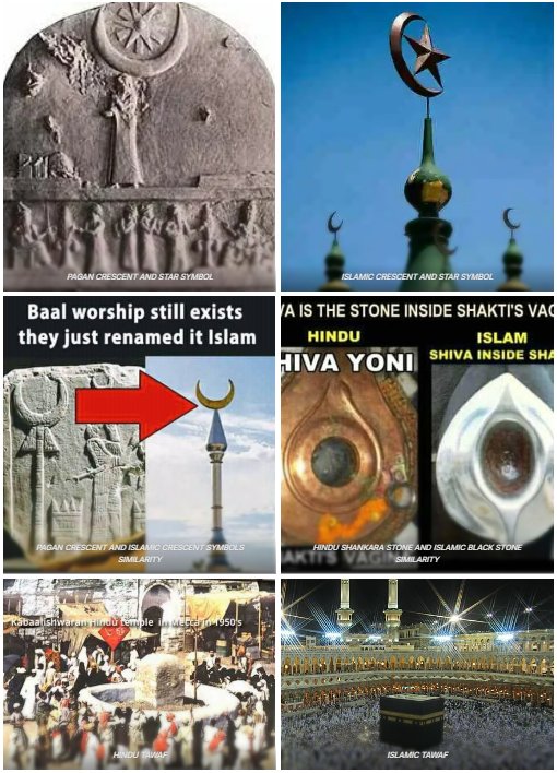 simon v/d iest tweet media