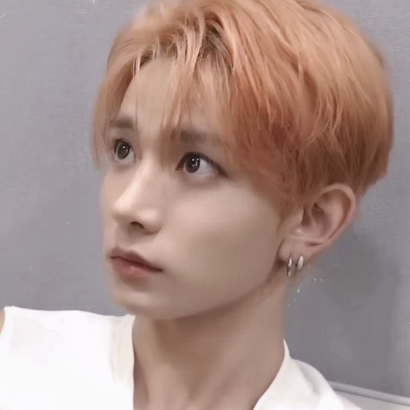 isabella | ENHYPEN IS 7 tweet media