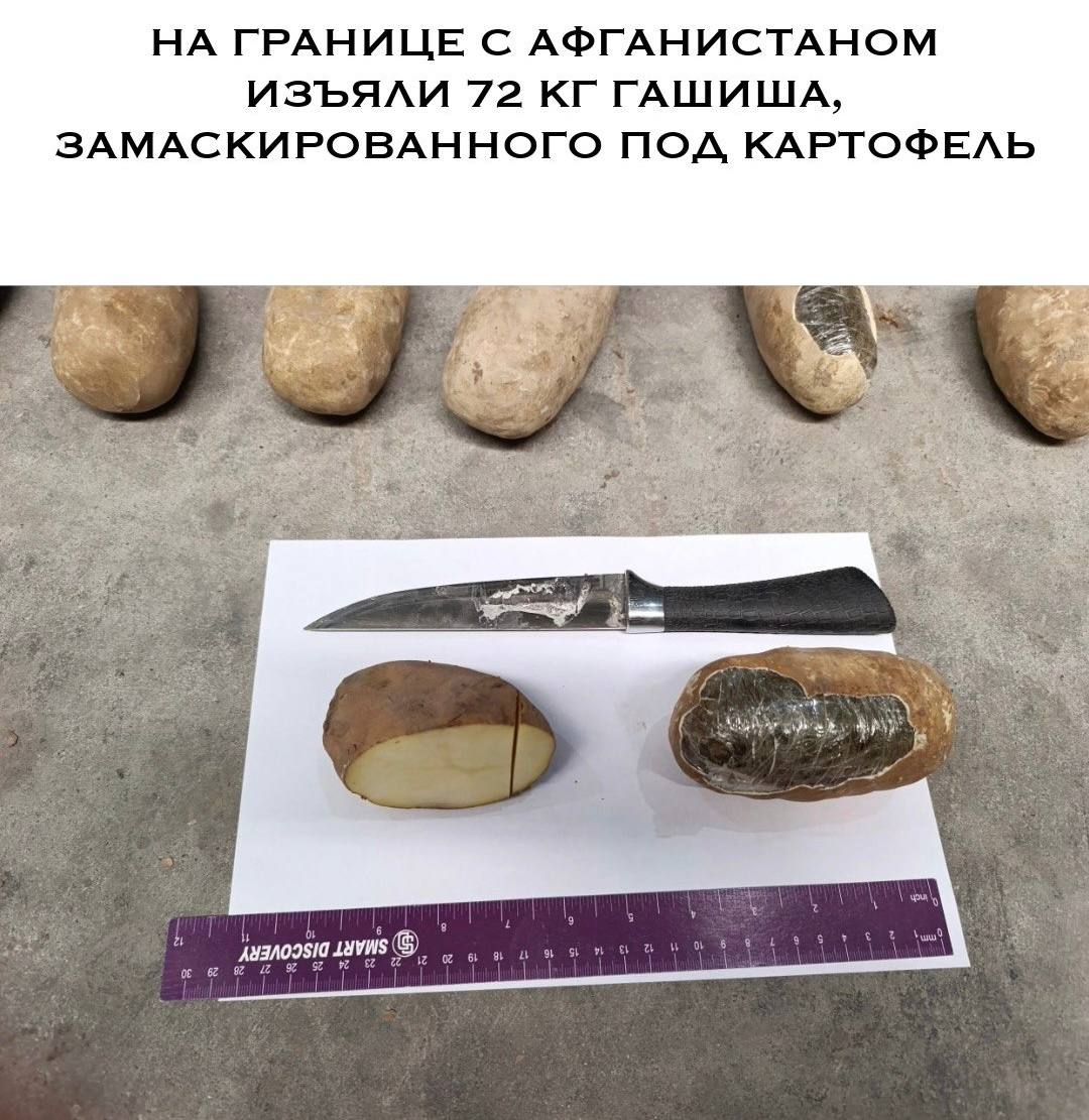 миллиард казахстанцев tweet media