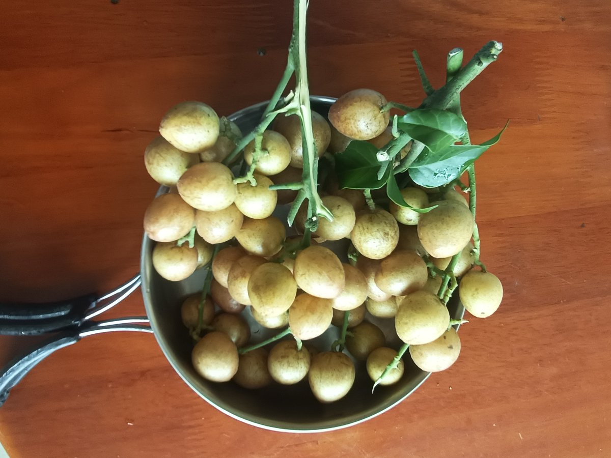 Mike Blair tweet media