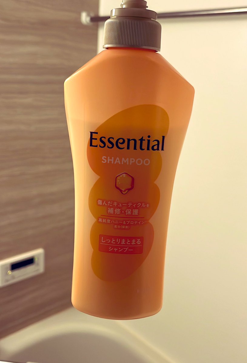 큰미르사담🔜Furst class4月 tweet media