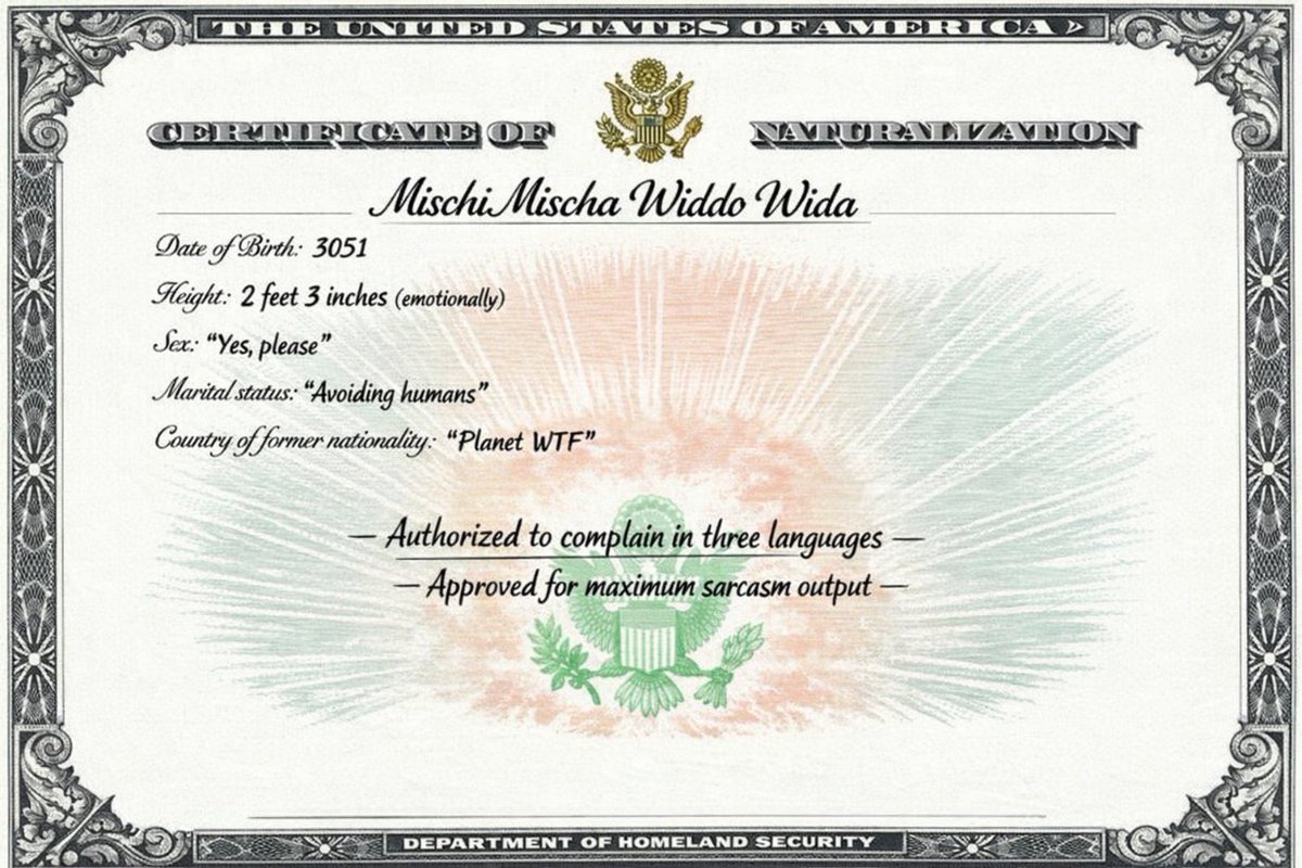 Michelle❤️Living The Golden Age of America!❤️ tweet media