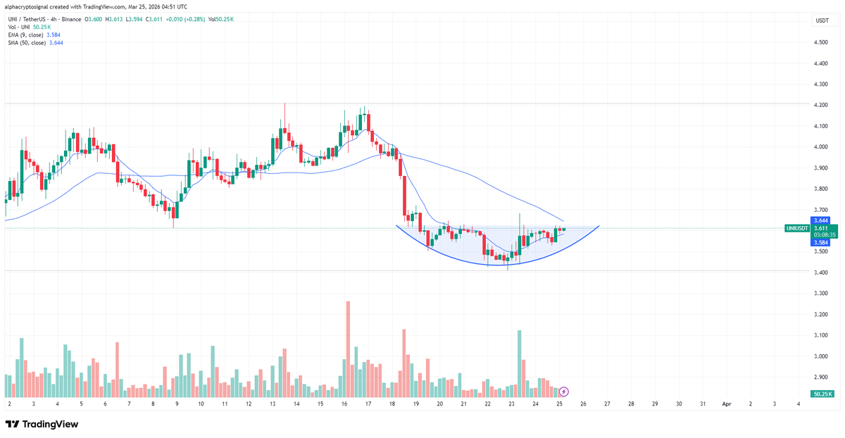 Alpha Crypto Signal tweet media