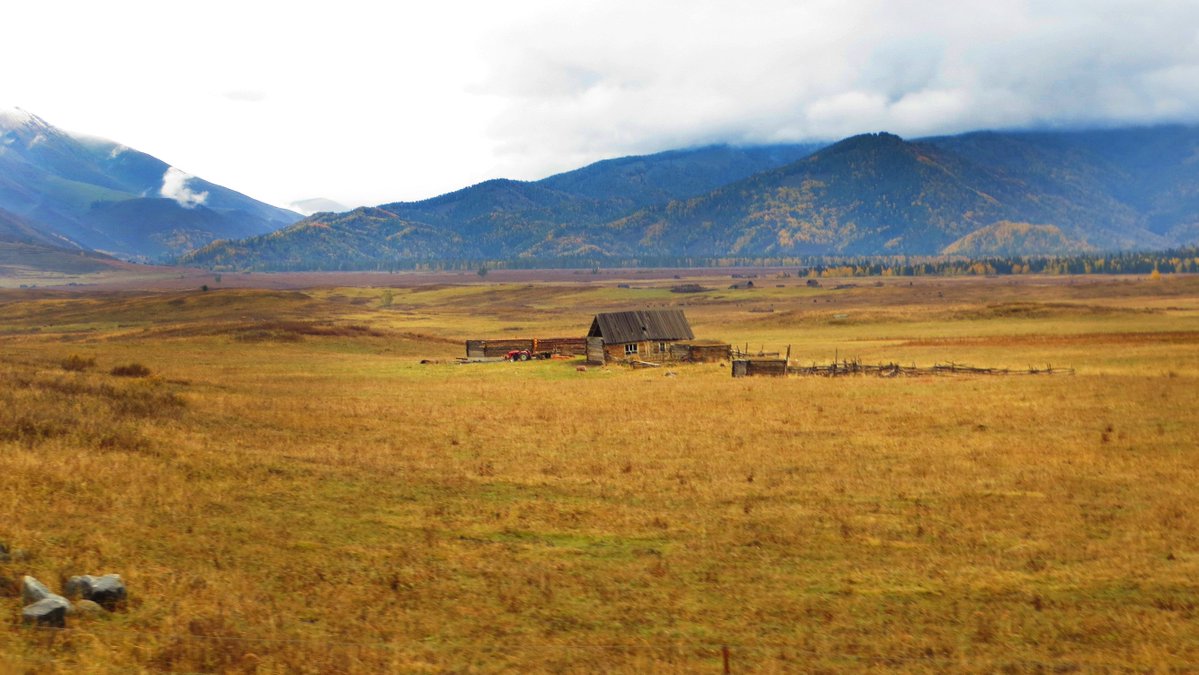 Tony Richardson tweet media