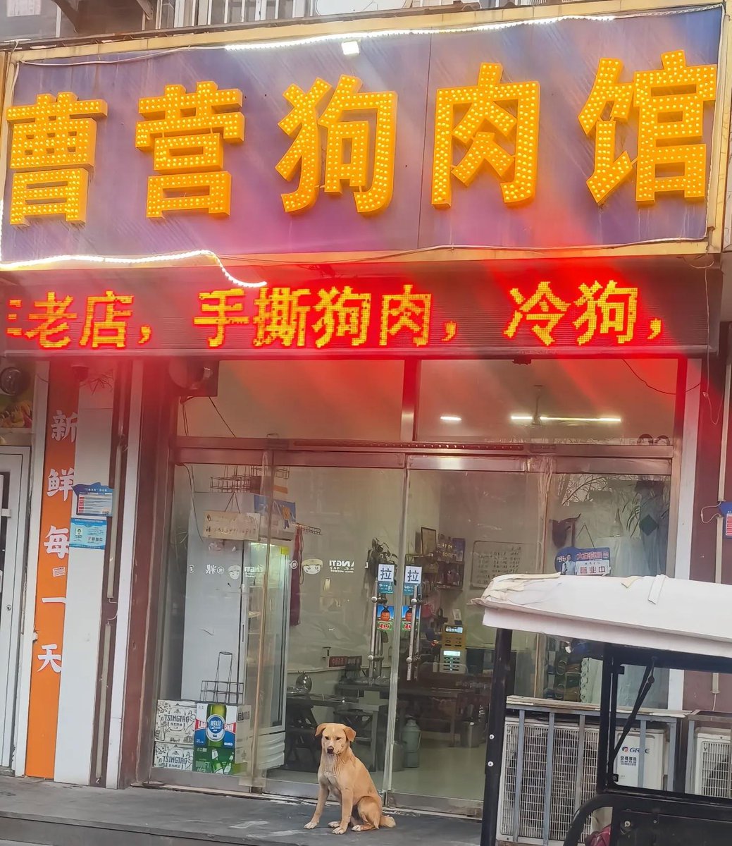 芙宁娜娜💙𝐅𝐮𝐫𝐢𝐧𝐚𝐧𝐚 tweet media