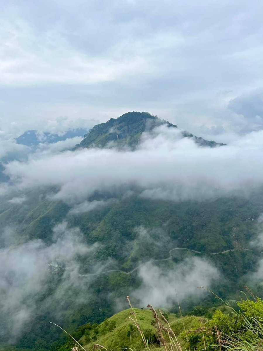 🤍ابوراكان💛🤍 tweet media