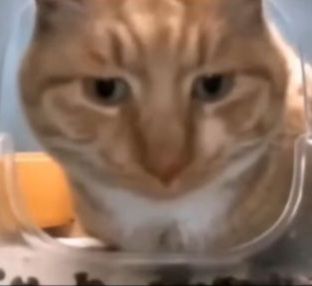 bebel mabok nguli 👒 tweet media