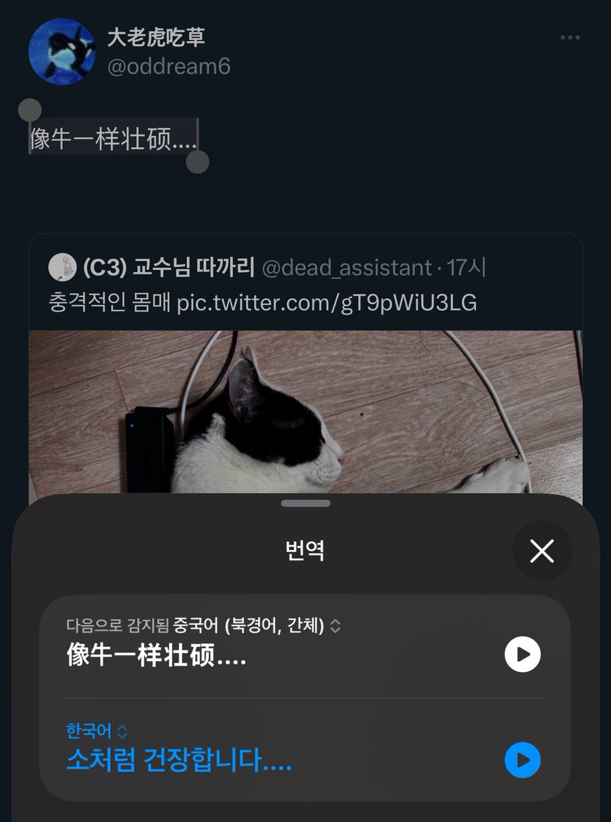 (C3) 교수님 따까리 tweet media