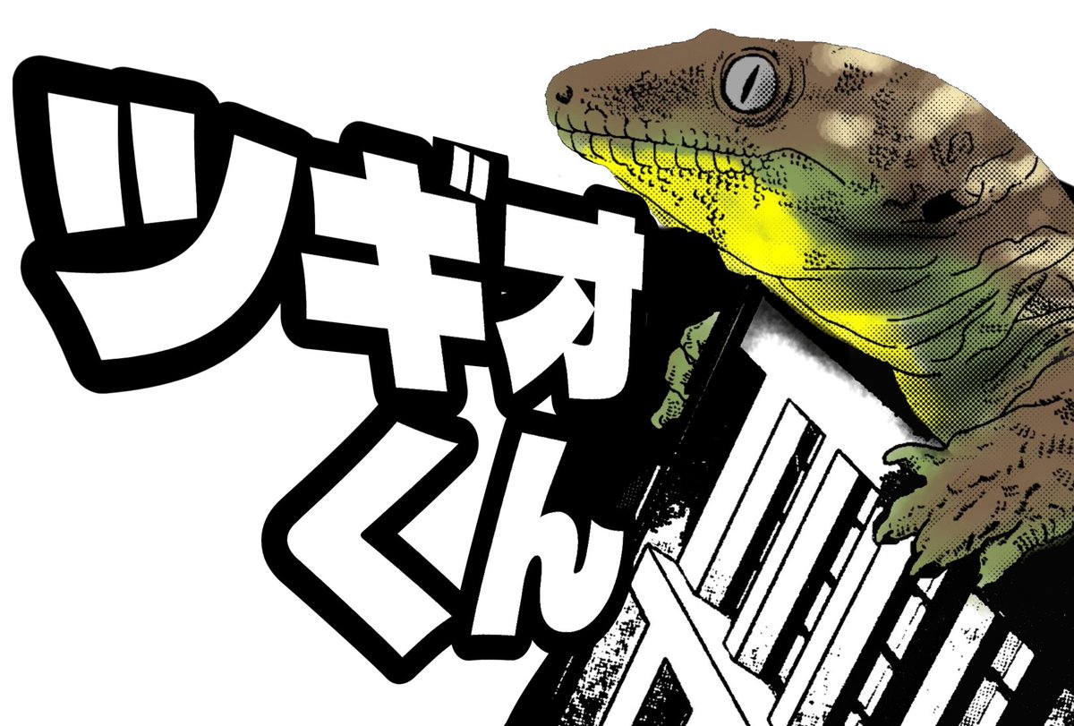 幻妖商会🪷流音 tweet media