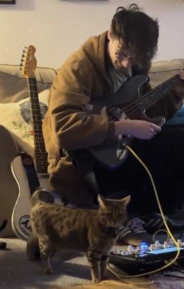 ⵌ ┊ঌ ᵐᵃˣ ໒ 🐾 tweet media