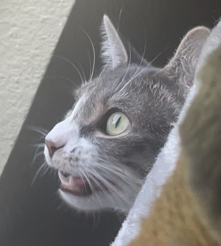 the baxter tweet media