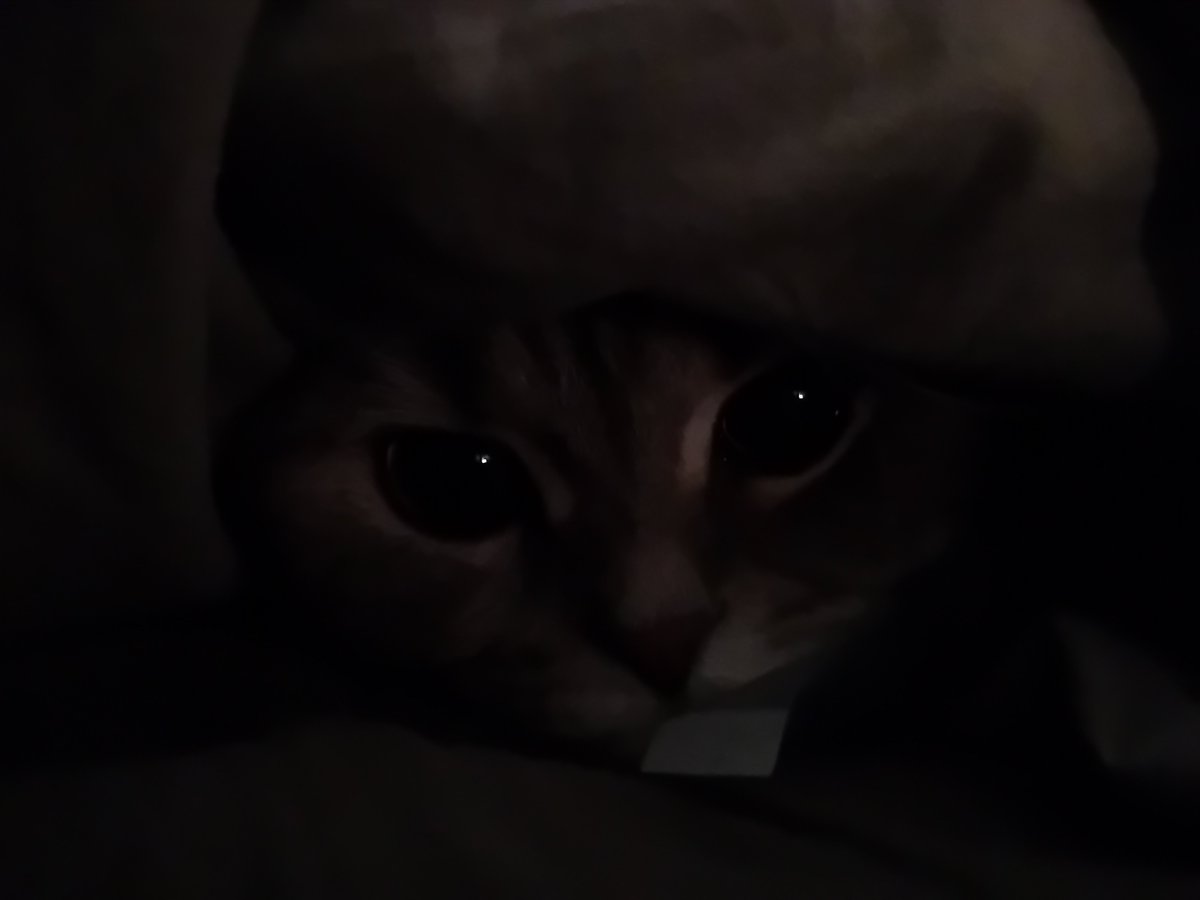  ꪀ𑄝ah ♥︎'s ᥕhit𐓣eყ #CASSHAUNISREAL tweet media